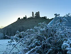 Click to view image Frosty morning in Jan 2025 at Corfe Castle