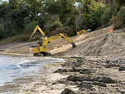 Click to view image Studland sea defences removal at Middle Beach